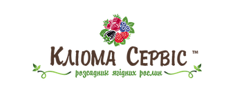 kliomaservis-Logo