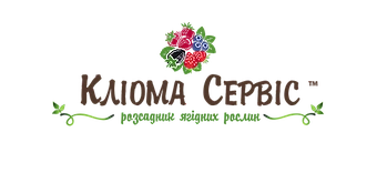 kliomaservis-Logo