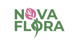 novaflora-Logo