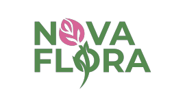 novaflora-Logo
