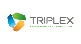 Triplex-Logo