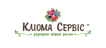 klioma-servise-Logo