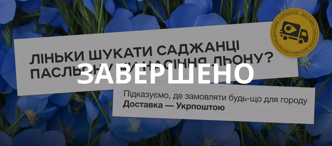sad gorod over