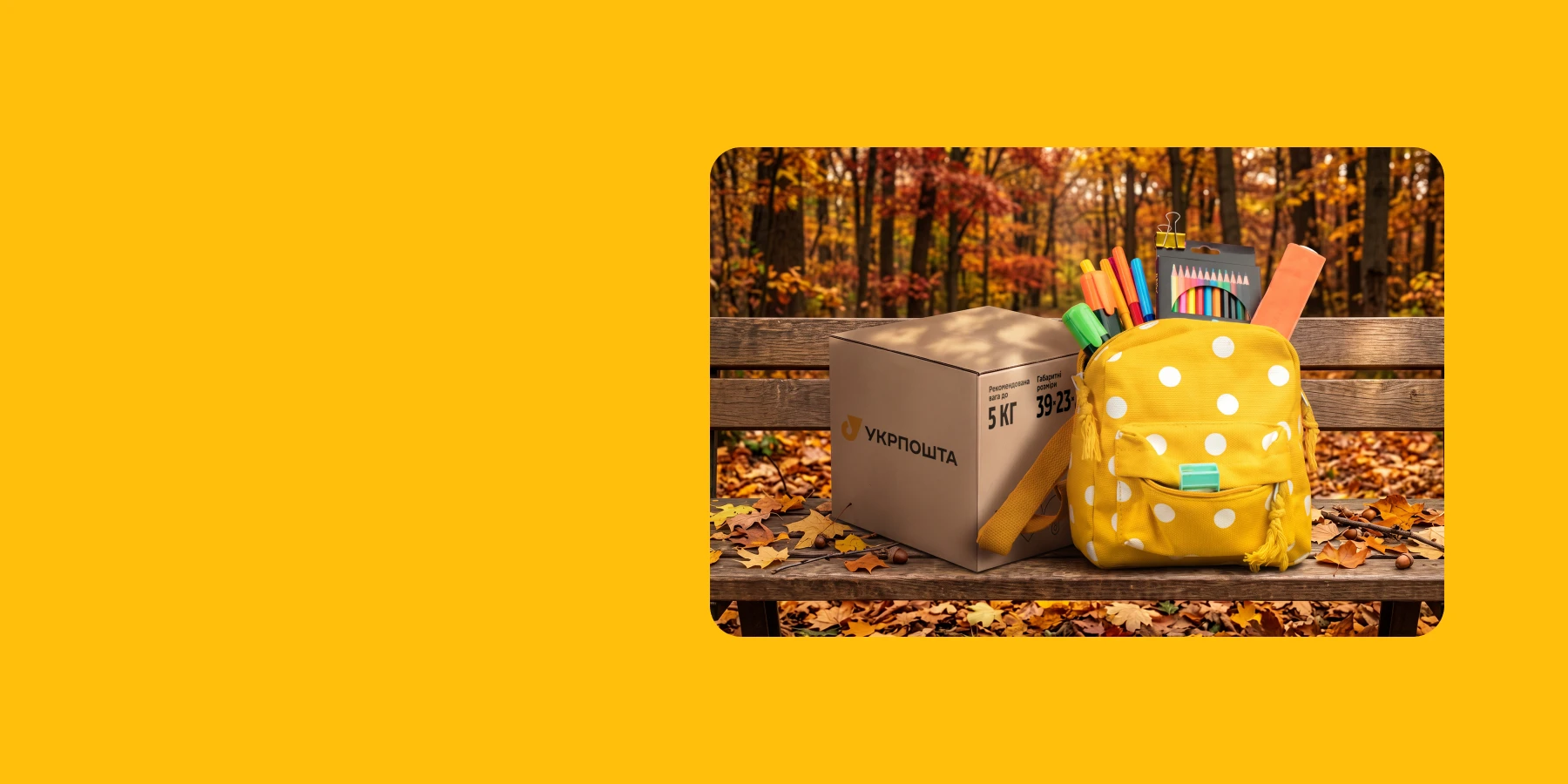 Banner desktop